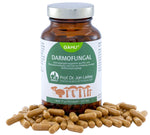 PLANTAVIS DARMOFUNGAL BIO VITALPILZ KAPSELN