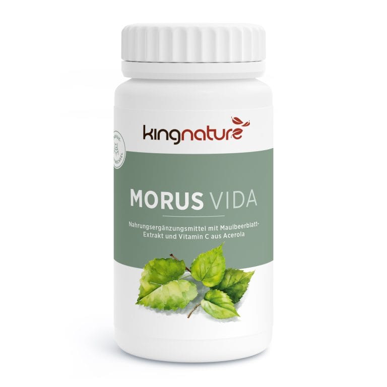 MORUS VIDA