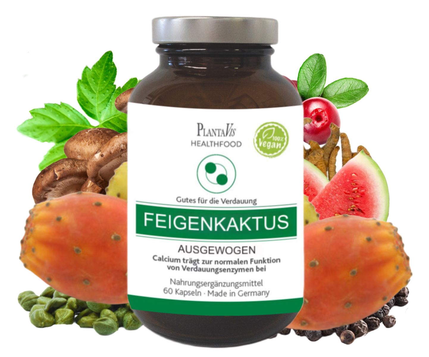FEIGENKAKTUS KAPSELN