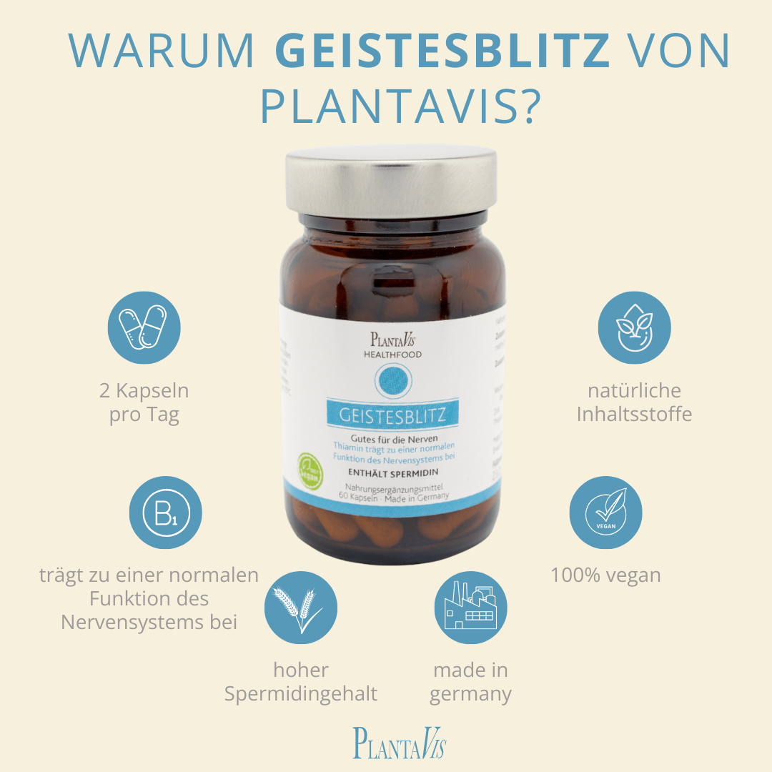 GEISTESBLITZ SPERMIDIN