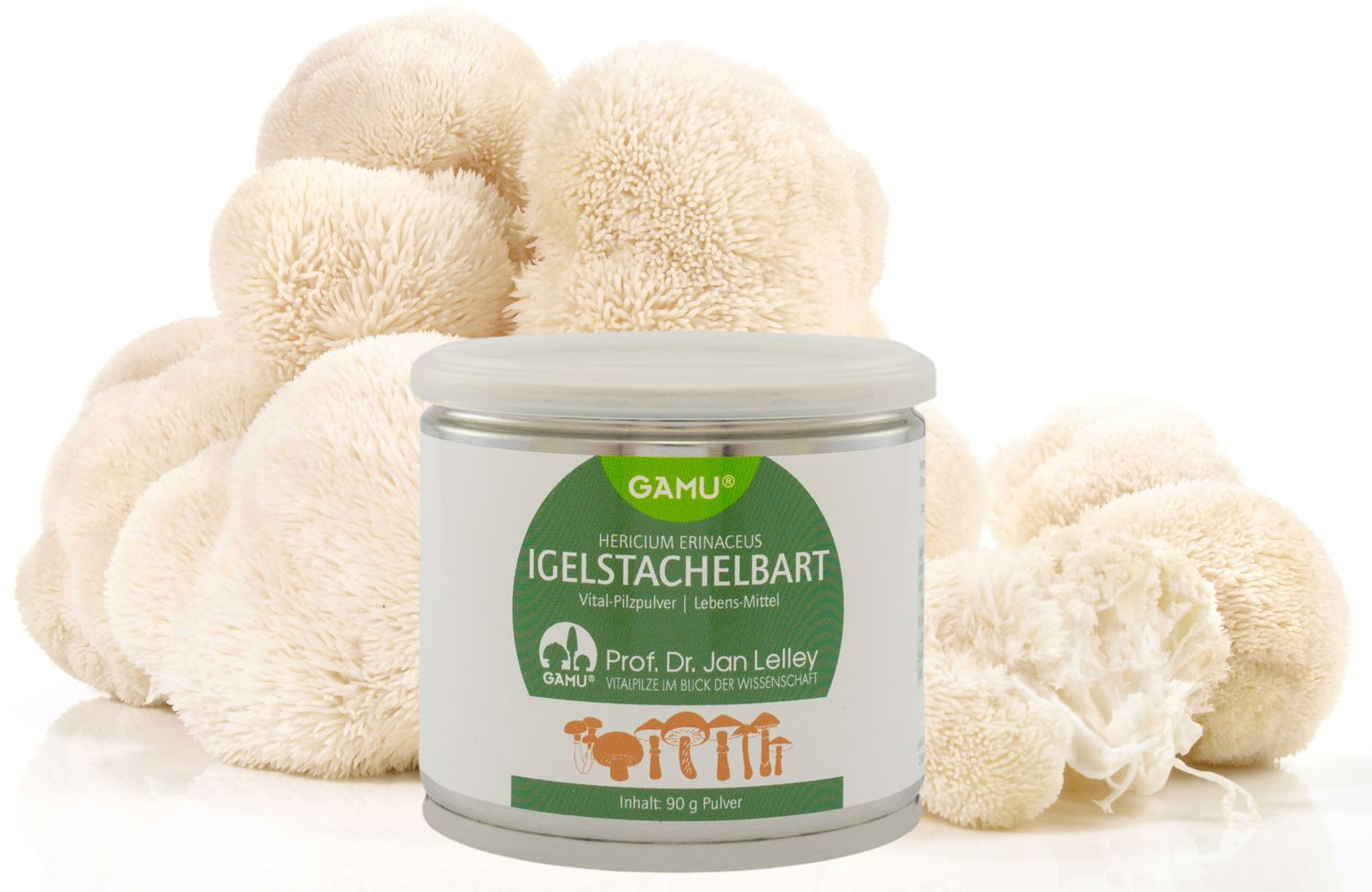 IGELSTACHELBART HERICIUM BIO PULVER