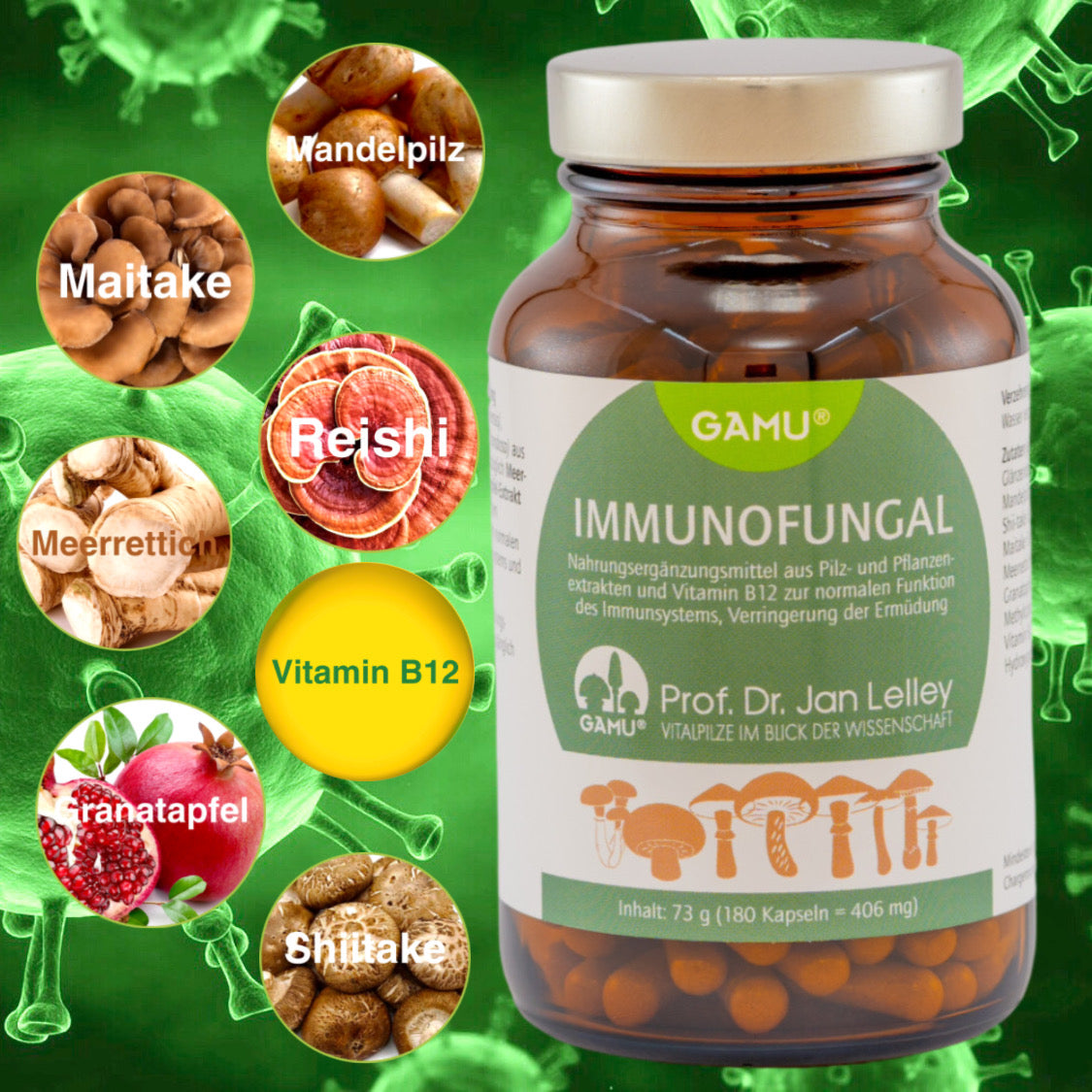 IMMUNOFUNGAL BIO VITALPILZ KAPSELN