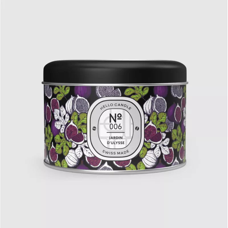 N6 JARDIN DULYSSE
